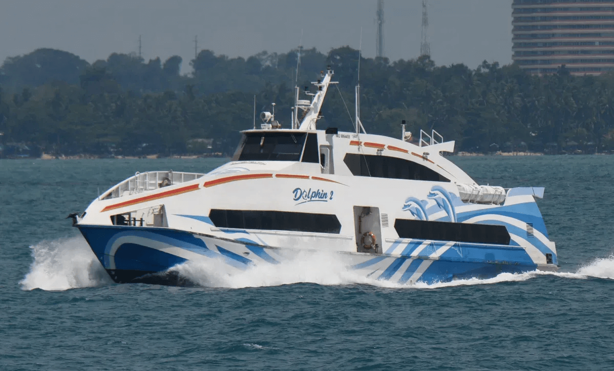 dolhpin fleet